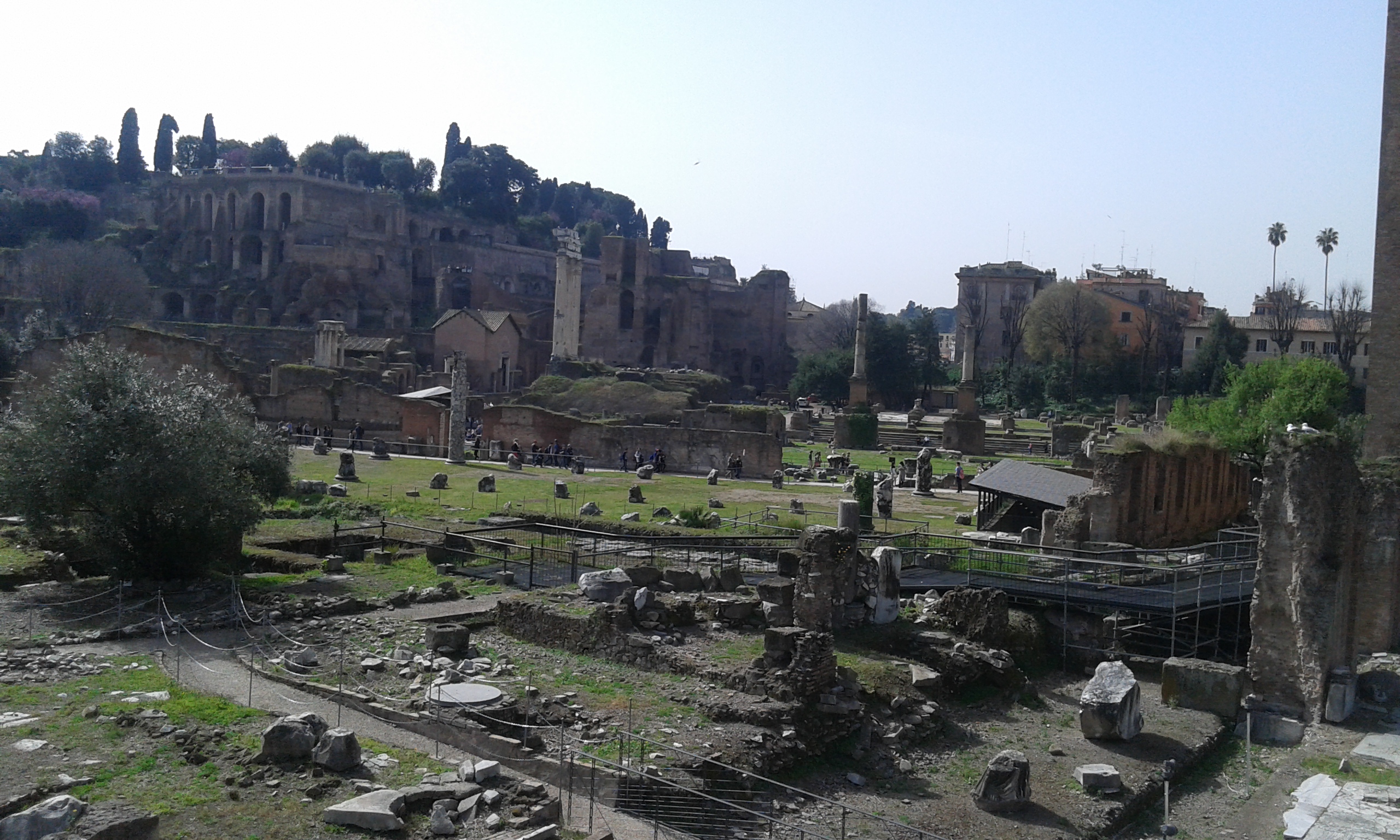 Le ricchezze archeologiche di Roma da oggi accessibili a tutti