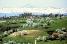 Romanic race, 20 km di bellezza in Monferrato